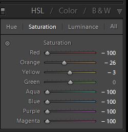 Set the Saturation sliders to -100 for the colors you want to remove