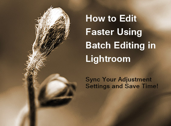 How to edit faster using bath editing in Lightroom