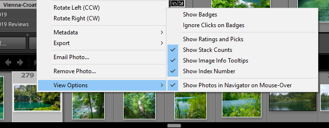 A welcome addition in the Lightroom Classic 8.4 update is the ability to ,Show or Hide Filmstrip Index Numbers