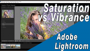 Using Saturation and Vibrance color adjustments in Lightroom