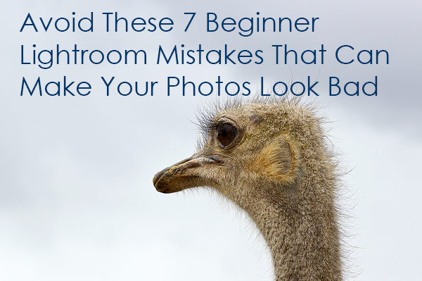Editing mistakes you want to avoid as a new Lightroom user