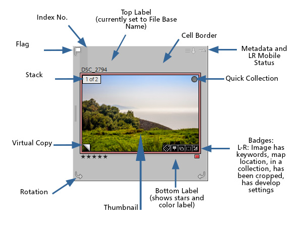 lightroom cc windows grid overlay