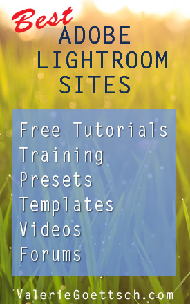 Best Adobe Lightroom Sites - tutorials, training, free andpaid presets, videos, templates, forums 