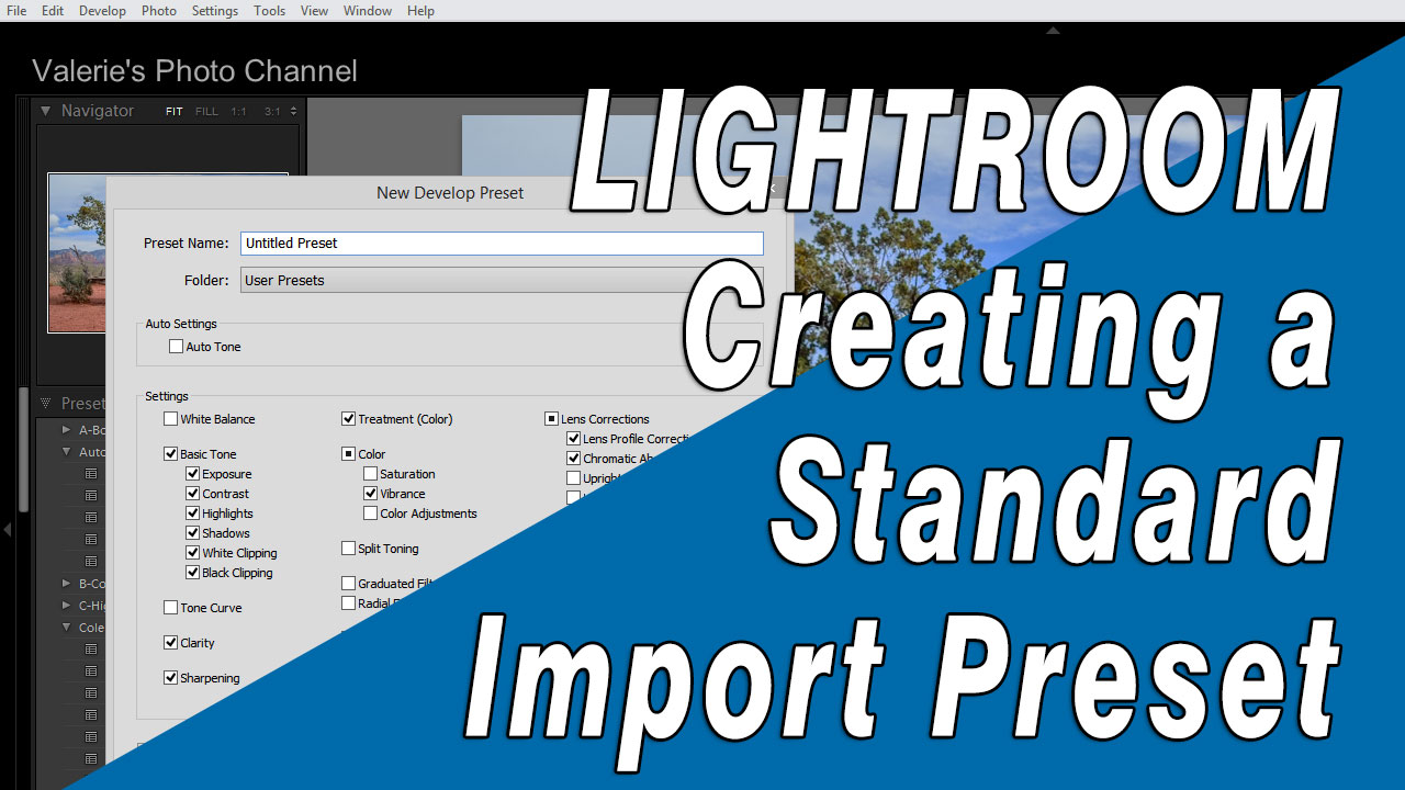 Creating a standard import preset in Lightroom