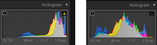 Watch the histogram. The image on the left is overexposed while the image on the right is properly exposed.