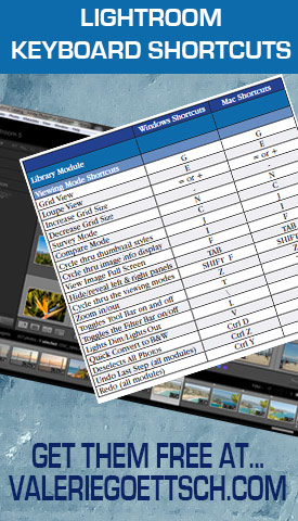 Using keyboard shortcuts can greatly speed up your Lightroom workflow. Download