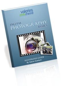 Digital Photography Basics ebook