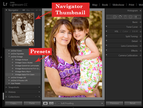 Use the Navigator to preview how the preset will look applied to your photo