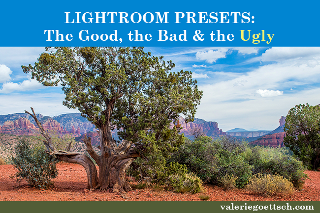 what you need to know about Lightroom Develop Presets: The good and the bad