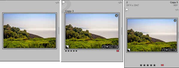 adobe lightroom icon