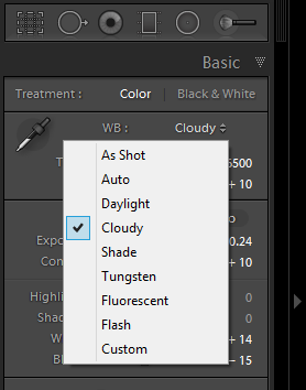 If you shoot in raw, the dropdown menu will list the same white balance options your camera has.